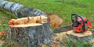 Best Firewood Processing and Delivery  in Greenfield, MN